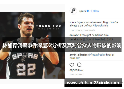 林加德调侃事件深层次分析及其对公众人物形象的影响