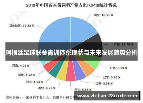 阿根廷足球联赛青训体系现状与未来发展趋势分析