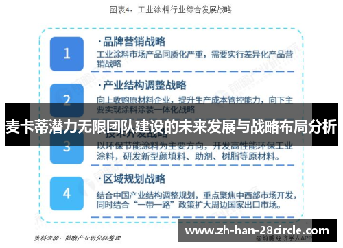 麦卡蒂潜力无限团队建设的未来发展与战略布局分析